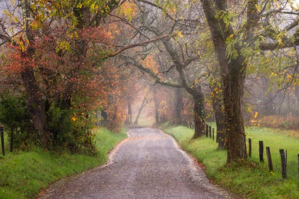 Mattina appannata su Sparks Lane — Foto Stock