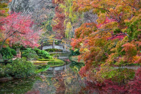 Follaje de otoño en el jardín japonés — Foto de Stock