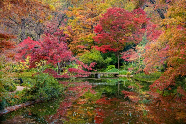 Spadek liści w Ogrodzie Japońskim — Zdjęcie stockowe