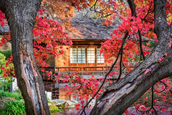 Otoño en el jardín japonés — Foto de Stock