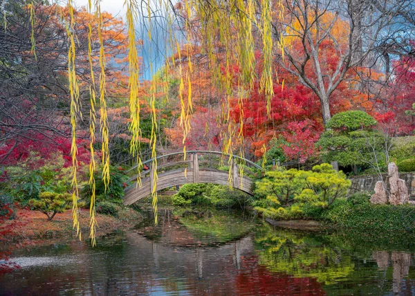 Fall Foliage στον ιαπωνικό κήπο Royalty Free Εικόνες Αρχείου