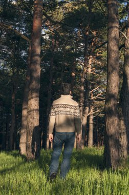 Güneşli bir öğleden sonra zevk ormanda genç adam