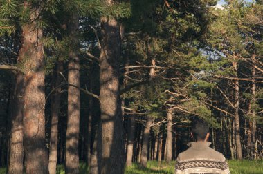 Güneşli bir öğleden sonra zevk ormanda genç adam