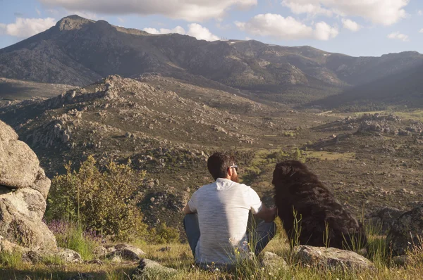 Young man and his dog enjoying the sunset together at the top of — Stock Photo, Image