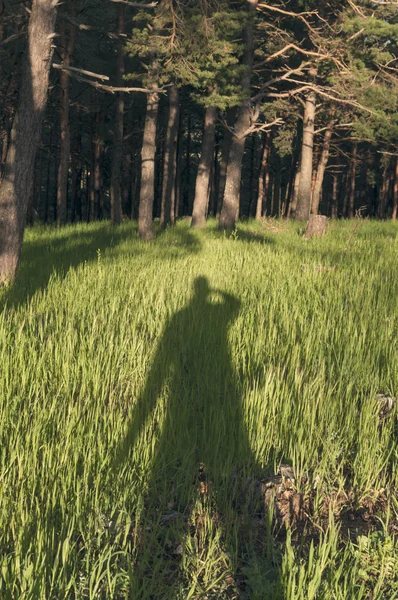 Uomo ombra sull'erba — Foto Stock