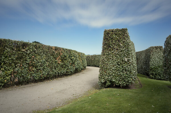 English Labyrinth in the park - 3
