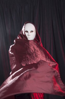 Adam beyaz Venedik karnaval maskesi 6