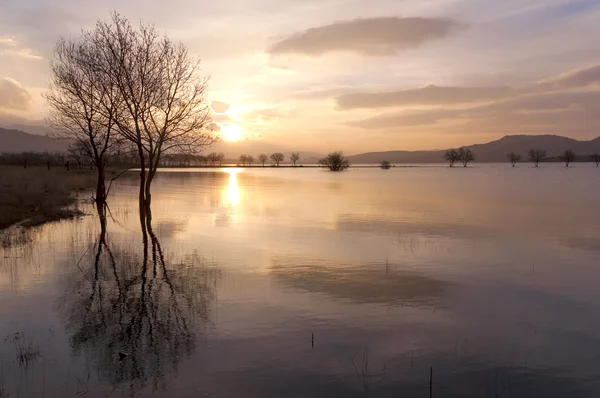 Reflektion av träd på sjön vid solnedgången - vågrät — Stockfoto