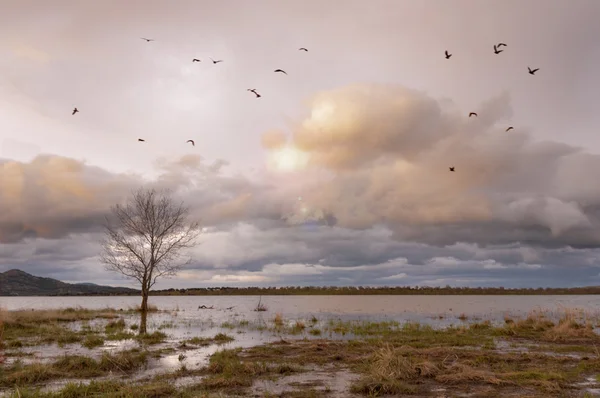 Apus de soare în lac — Fotografie de stoc gratuită