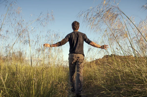 L'uomo scende dalla collina toccando la cannuccia al tramonto - Horizonta — Foto Stock