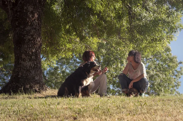 Chicas sentadas bajo el árbol con sus mascotas — Foto de Stock