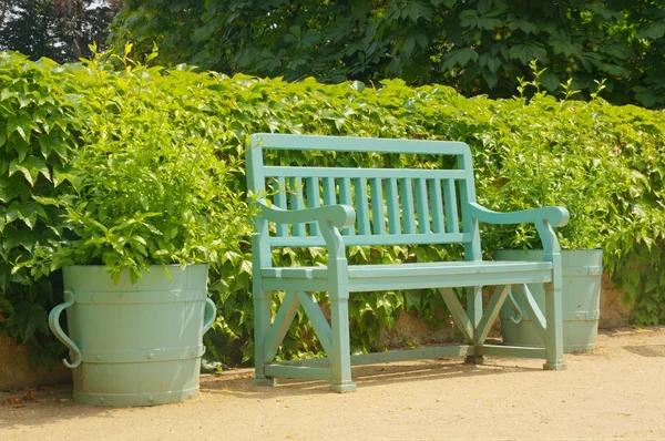 Grüner Garten — Stockfoto