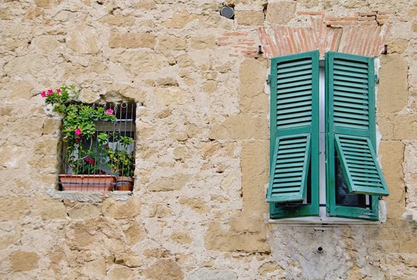 Colourful flowers and window — Stock Photo, Image