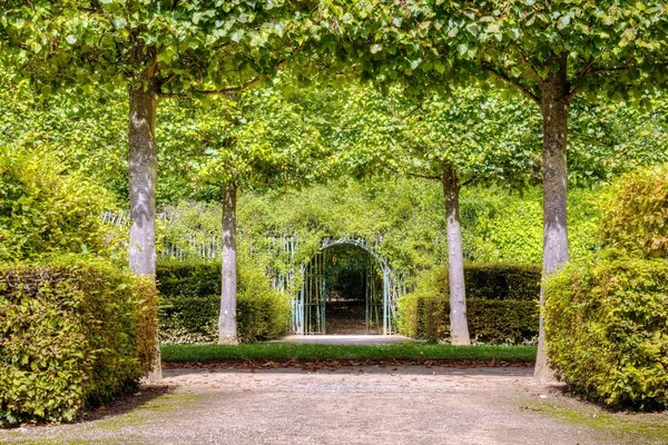 French green garden — Stock Photo, Image