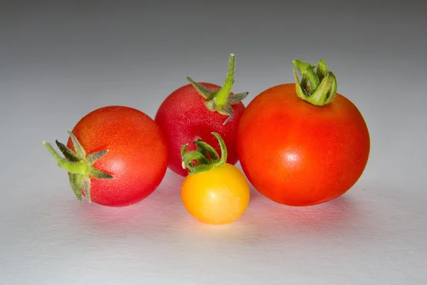 Colourful tomatoes on a table — Stock Photo, Image