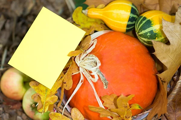 Carte de voeux d'automne — Photo