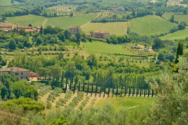 Tuscany landscape — Stock Photo, Image