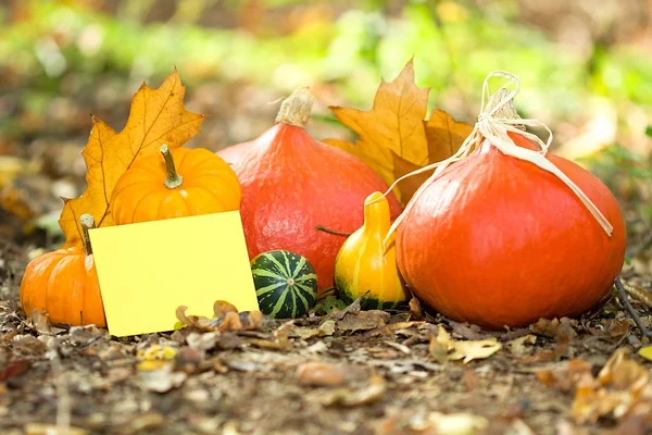 Carte de voeux d'automne — Photo