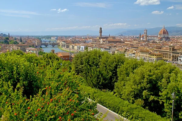 Florence city view — Stock Photo, Image