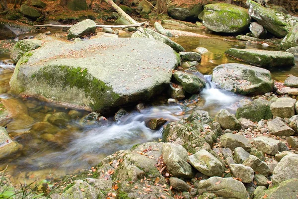 Herbst Fluss im Wald — Stockfoto