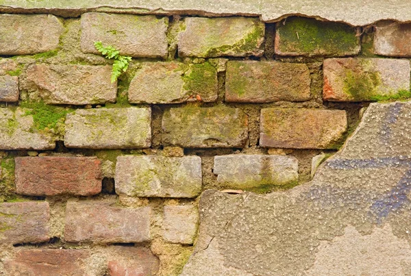 Closeup of bricks wall — Stock Photo, Image