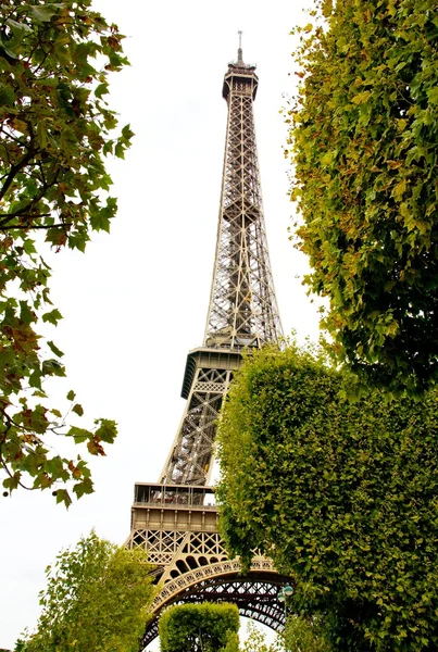 Eiffel tower a okolí Stock Obrázky