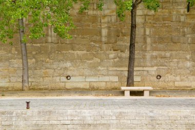 Paris nehir manzarası