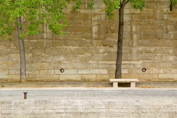 Paris nehir manzarası — Stok fotoğraf