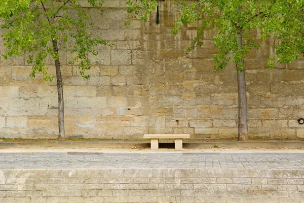 Vista sul fiume parigino — Foto Stock