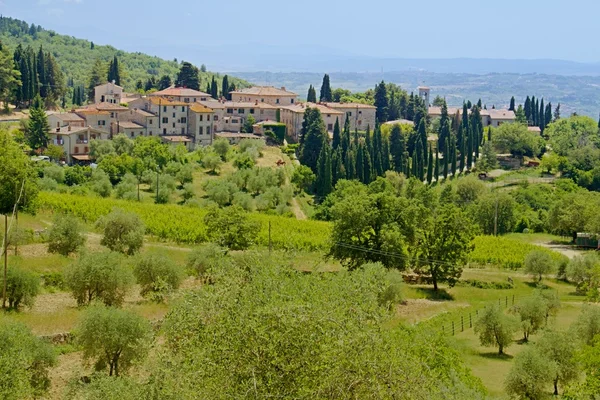 La photo montre une vue générale sur le paysage toscan . — Photo