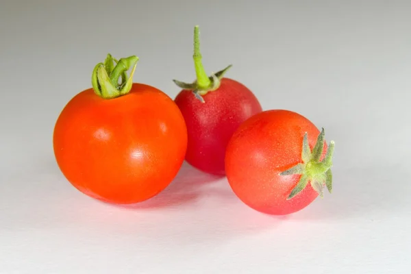 Colourful tomatoes on a table — Stock Photo, Image