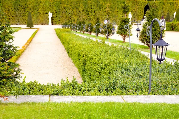 French green garden with lamp — Stock Photo, Image