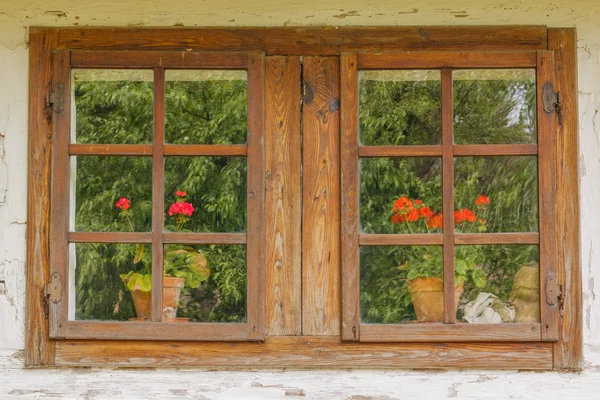 Närbild av gamla träfönster med blommor — Stockfoto