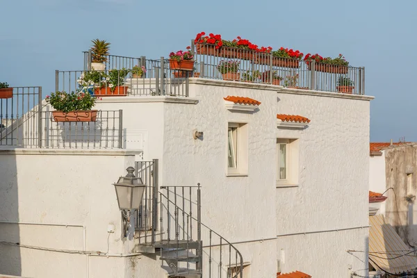 Teras ve kırmızı çiçekler ile eski şehir evi