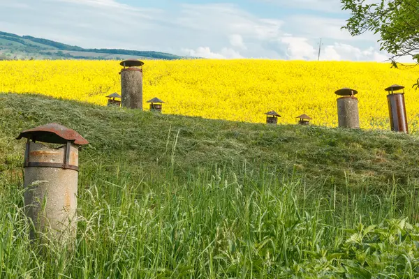 Gamle kjellerskorsteiner i gresset – stockfoto