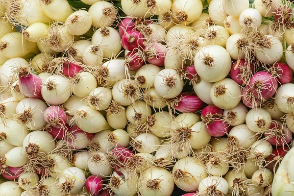 Close-up of colourful onions on farmer market — Stock Photo, Image
