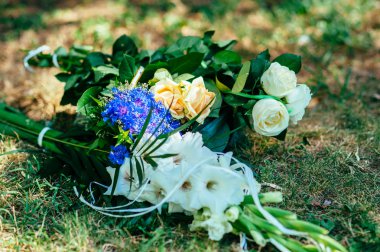 Çimlerin üzerine güzel çiçekler.