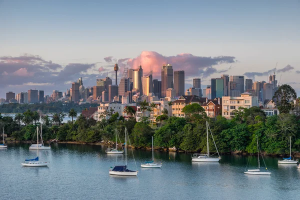 En regardant à travers Cremorne Point à la ville de Sydney — Photo