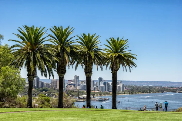 Kings park w perth — Zdjęcie stockowe