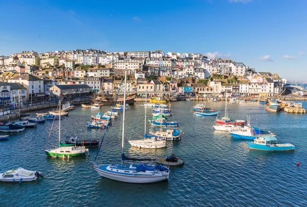 Brixham haven — Stockfoto