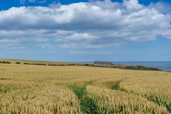 Caope Cod Woods Hole