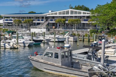 Caope Cod Woods Hole