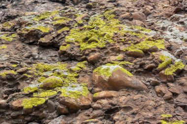 Yeşil yosun ve yosunla kaplı küçük, pürüzsüz taşlar. Yatay resim.