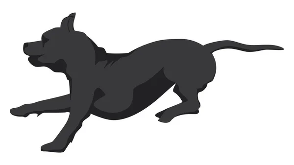 Silhouette Działa Pręgowany Staffordshire Terrier Lub Pitbull Izolowany Białym Ilustracja — Wektor stockowy
