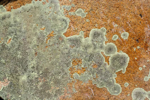Batu Granit Ditutupi Dengan Lumut Hijau Dan Lichen Citra Horisontal — Stok Foto