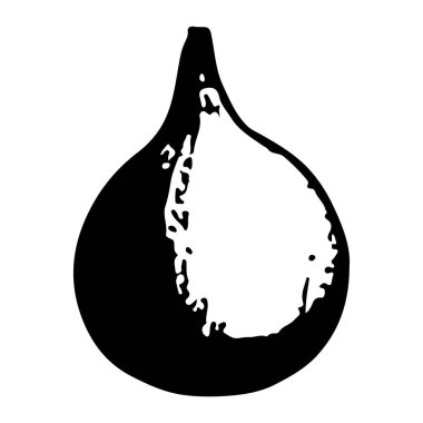 Beyazda soğan silueti var. Vektör illüstrasyonu.