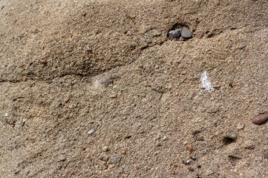 Kayanın arka plan dokusu çeşitli küçük taşlar ve kumdan oluşur. Yatay resim.