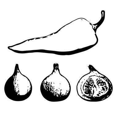 Beyaz arka planda izole edilmiş sebze silueti. Biber ve içinde tohumlar olan dilimlenmiş balkabağı. Vektör illüstrasyonu.