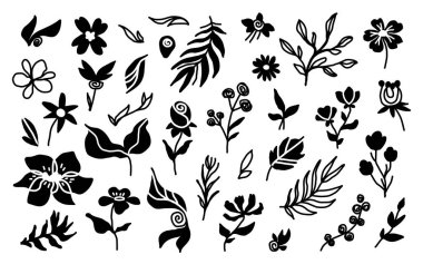 Tek renkli çiçek, siyah siluet seti. Basit botanik tasarım elementleri. El çizimi papatya ikonu tasarımı. Siyah kır çiçekleri ekin..