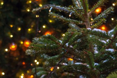 Noel arkaplanı. Noel ağacı dalları, hediyeler, toplar ve yıldızlar.